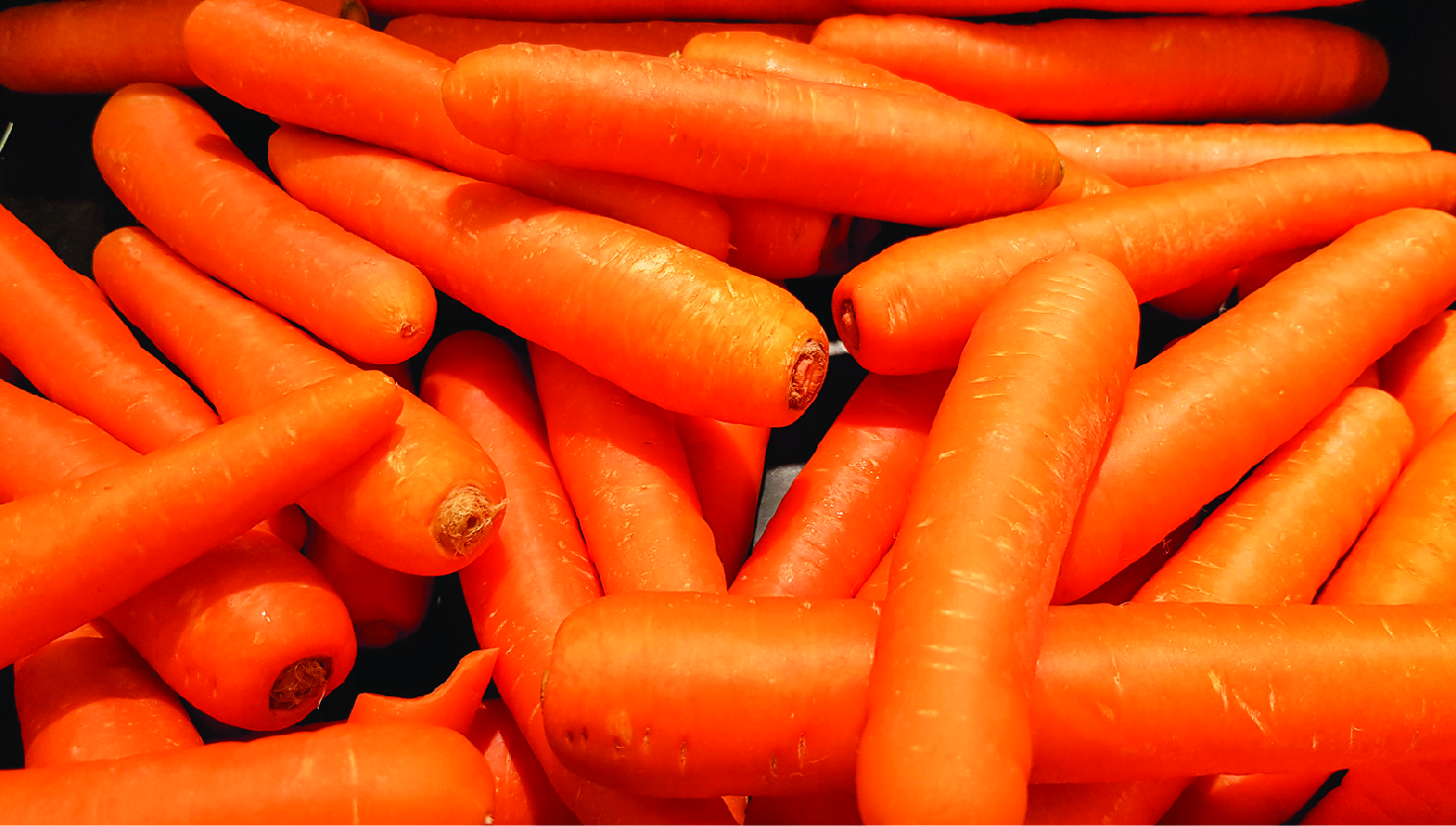 carrot