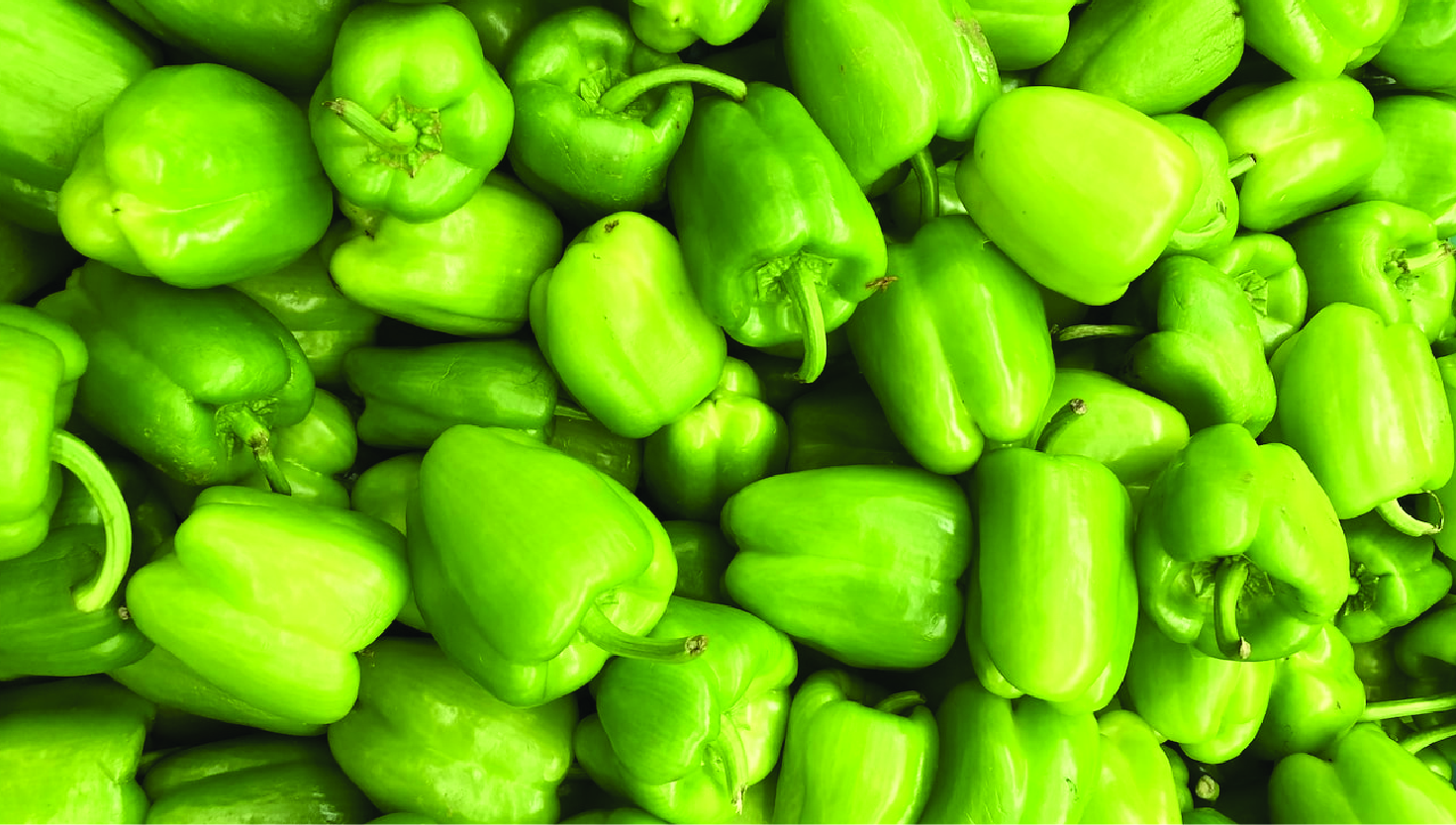 pepper